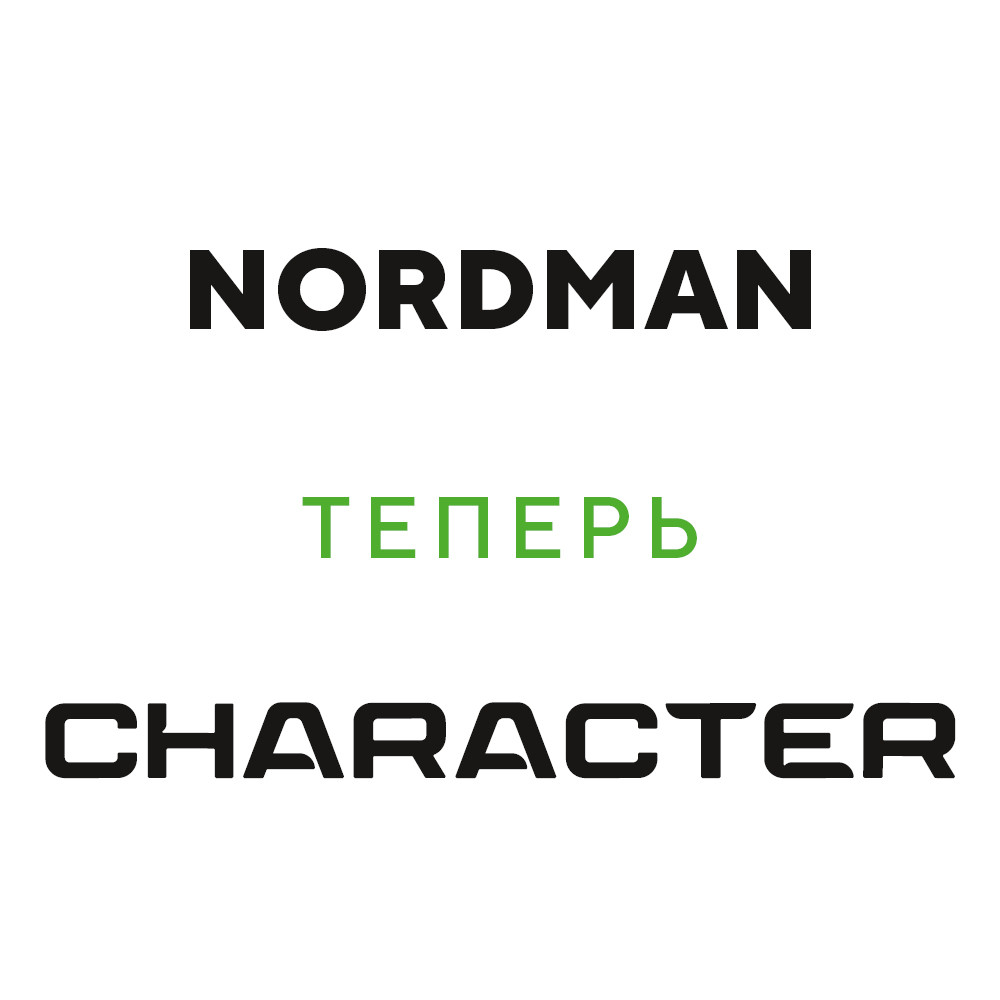 Nokian Tyres (Ikon) Nordman RS2 175/70 R13 82R цена