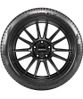 Pirelli Cinturato P7 new купить в KOLOBOX